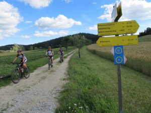 Mountainbiken_Landgasthof_Pammer_4